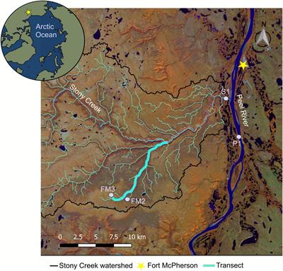 Downstream Evolution of Particulate Organic Matter Composition From Permafrost Thaw Slumps